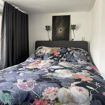 Apartamento In Centrum Alkmaar