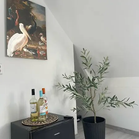 Apartamento In Centrum
