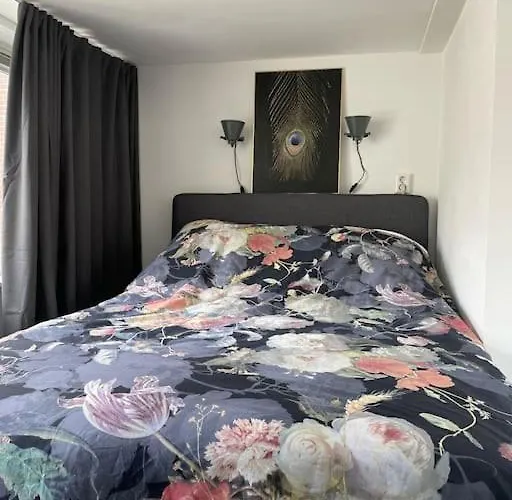 Apartamento In Centrum Alkmaar